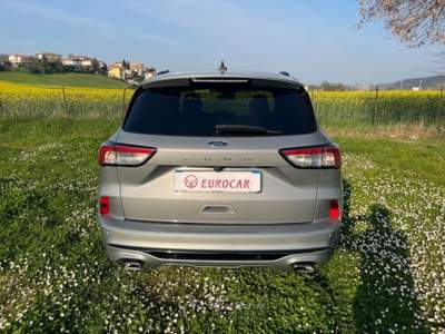 Ford Kuga 1.5 EcoBlue 120 CV 2WD ST-Line Grigio usata Monte Porzio