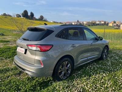 Ford Kuga 1.5 EcoBlue 120 CV 2WD ST-Line Grigio usata Monte Porzio
