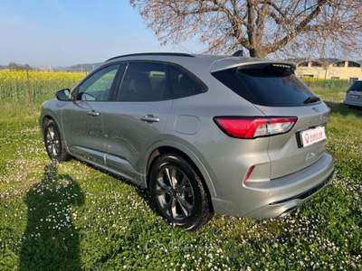 Ford Kuga 1.5 EcoBlue 120 CV 2WD ST-Line Grigio usata Monte Porzio