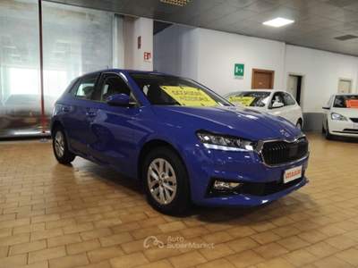 Skoda Fabia 1.0 MPI 80 CV Selection Blu/Azzurro usata Vigevano