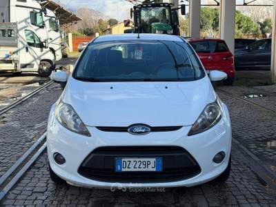 Ford Fiesta + 1.4 5 porte Bz.- GPL Bianco usata Arcola