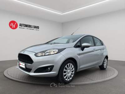 Ford Fiesta 1.2 60CV 5 porte Business Argento usata Maniago