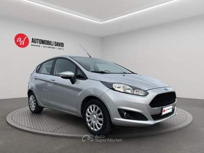 Ford Fiesta 1.2 60CV 5 porte Business Argento usata Maniago
