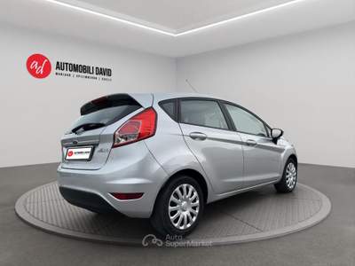 Ford Fiesta 1.2 60CV 5 porte Business Argento usata Maniago