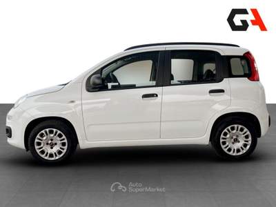 Fiat Panda Panda 1.2 Easy easypower Gpl 69cv Bianco usata Ercolano
