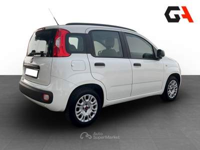 Fiat Panda Panda 1.2 Easy easypower Gpl 69cv Bianco usata Ercolano