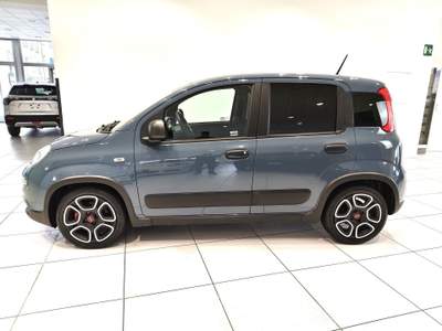 Fiat Panda Panda 1.0 firefly hybrid City Life s&s 70cv*5 POSTI* Blu/Azzurro usata Alto Reno Terme