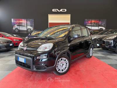 Fiat Panda 1.0 FireFly 70cv S&S Hybrid Pandina Nero usata Cornate D'adda