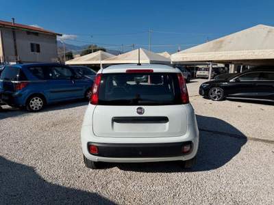 Fiat Panda Lounge usata Minturno