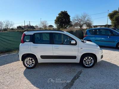 Fiat Panda Lounge usata Minturno