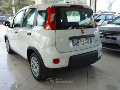 Fiat Panda 1.0 FireFly S&S Hybrid Bianco usata San Vito dei Normanni