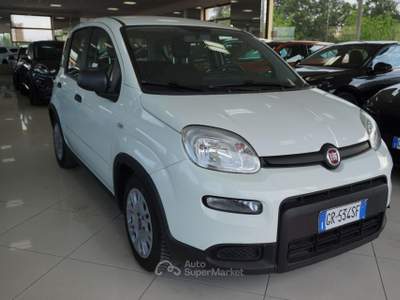 Fiat Panda 1.0 FireFly S&S Hybrid Bianco usata San Vito dei Normanni