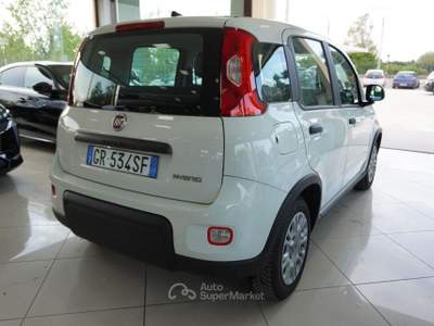 Fiat Panda 1.0 FireFly S&S Hybrid Bianco usata San Vito dei Normanni