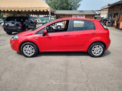 Fiat Punto OK NEOPATENTATI, GARANZIA L.12 MESI, LEGGERMENTE GRANDINATA Rosso usata Reggio nell'Emilia