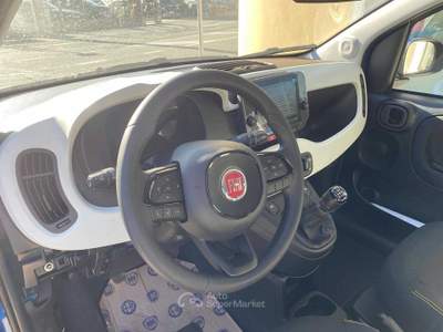Fiat Panda 1.0 FireFly S&amp;S Hybrid Pandina Blu/Azzurro usata Pinerolo