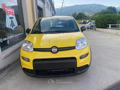 Fiat Panda 1.0 Hybrid PANDINA POP Giallo usata Pinerolo