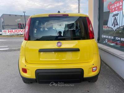 Fiat Panda 1.0 Hybrid PANDINA POP Giallo usata Pinerolo