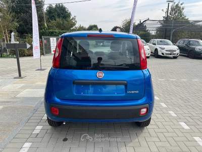 Fiat Panda 1.0 FireFly S&amp;S Hybrid Icon Blu/Azzurro usata Pinerolo