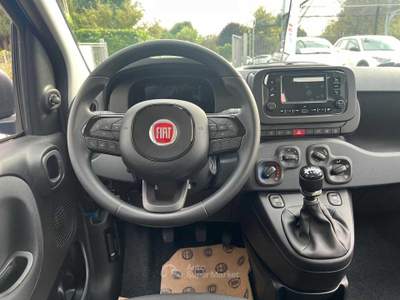 Fiat Panda 1.0 FireFly S&amp;S Hybrid Icon Blu/Azzurro usata Pinerolo