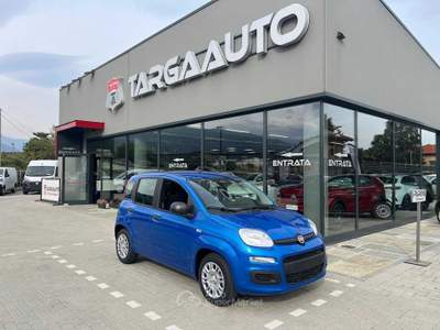 Fiat Panda 1.0 FireFly S&amp;S Hybrid Icon Blu/Azzurro usata Pinerolo