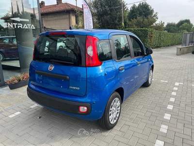 Fiat Panda 1.0 FireFly S&amp;S Hybrid Icon Blu/Azzurro usata Pinerolo