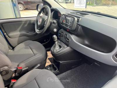 Fiat Panda 1.0 FireFly S&amp;S Hybrid Icon Blu/Azzurro usata Pinerolo