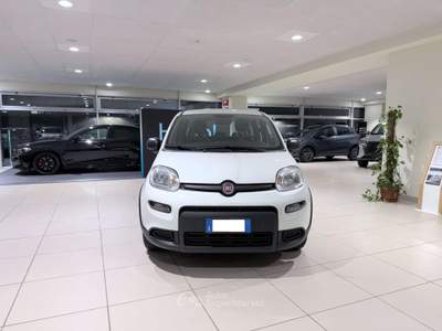 Fiat Panda Panda 1.0 firefly hybrid s Bianco usata Savona