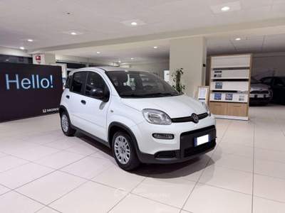 Fiat Panda Panda 1.0 firefly hybrid s Bianco usata Savona