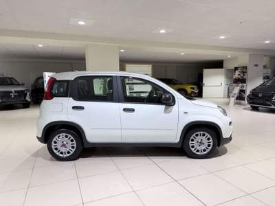 Fiat Panda Panda 1.0 firefly hybrid s Bianco usata Savona