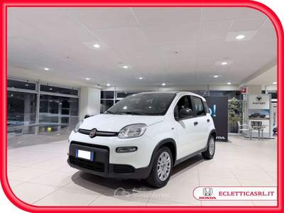 Fiat Panda Panda 1.0 firefly hybrid s Bianco usata Savona