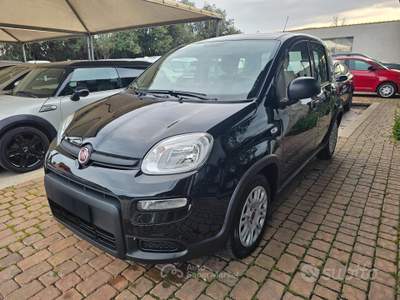 Fiat Panda FireFly S&S Hybrid usata SINISCOLA