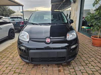 Fiat Panda FireFly S&S Hybrid usata SINISCOLA