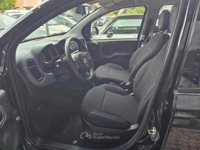 Fiat Panda FireFly S&S Hybrid usata SINISCOLA