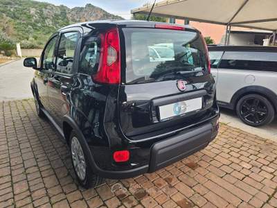 Fiat Panda FireFly S&S Hybrid usata SINISCOLA