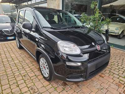 Fiat Panda FireFly S&S Hybrid usata SINISCOLA