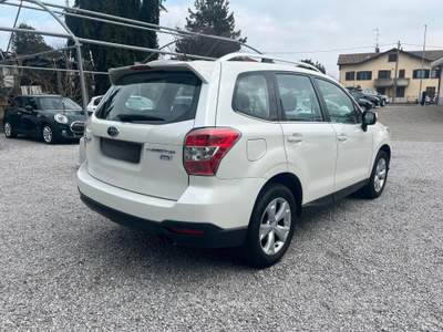 Subaru Forester Trend usata Bulgarograsso
