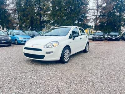 Fiat Punto II S&S 95 CV 5 porte Street NEO usata Bulgarograsso