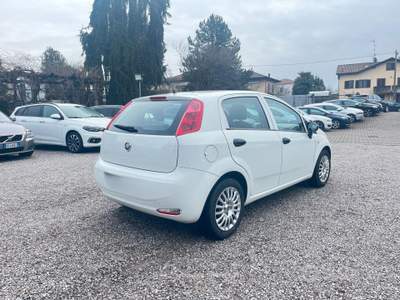 Fiat Punto II S&S 95 CV 5 porte Street NEO usata Bulgarograsso