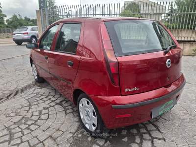 Fiat Punto 5p Active Natural Power Rosso usata Altamura