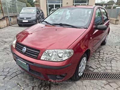 Fiat Punto 5p Active Natural Power Rosso usata Altamura