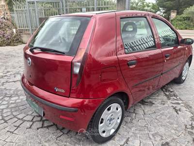 Fiat Punto 5p Active Natural Power Rosso usata Altamura