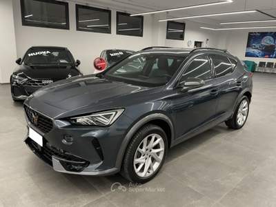 Cupra Formentor 2.0 TDI 150 CV4Drive DSG Grigio usata Alcamo