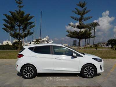 Ford Fiesta 1.1 75 CV GPL 5 porte Titanium Bianco usata Gallipoli