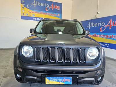 Jeep Renegade 2.0 Mjt 170CV 4WD Active Drive Low Trailhawk Grigio usata ADRANO