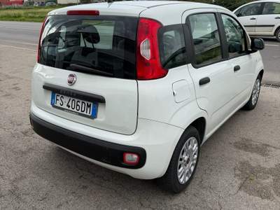 Fiat Panda Macchina perfetta usata San Tammaro