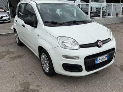 Fiat Panda Macchina perfetta usata San Tammaro