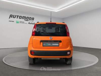 Fiat Panda VAN 85CV 4X4 Arancione usata San Miniato