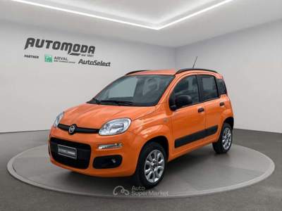 Fiat Panda VAN 85CV 4X4 Arancione usata San Miniato