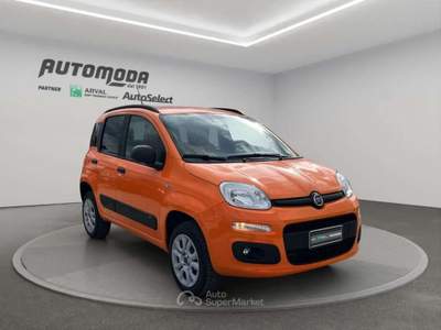Fiat Panda VAN 85CV 4X4 Arancione usata San Miniato