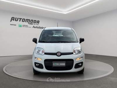 Fiat Panda 1.2bz van 4 posti Bianco usata San Miniato